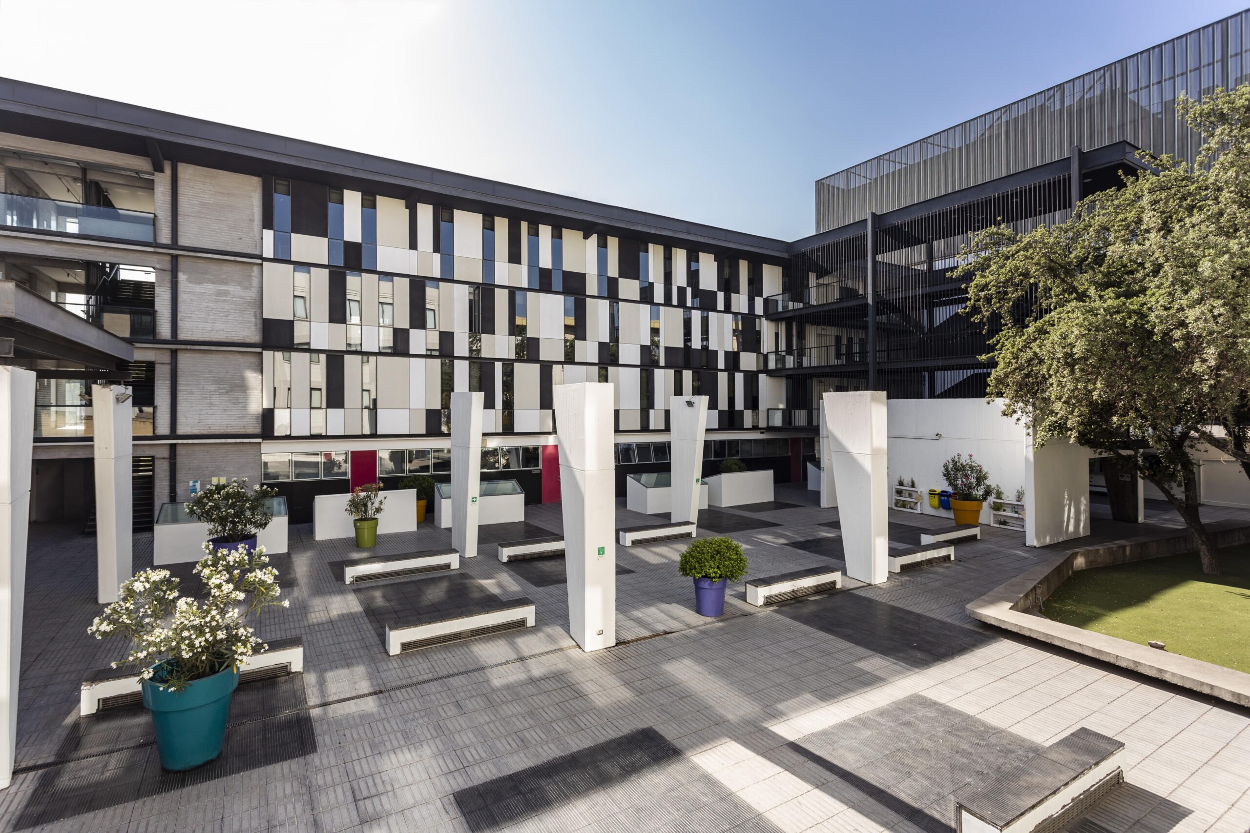 Odontología es acreditada por 6 años