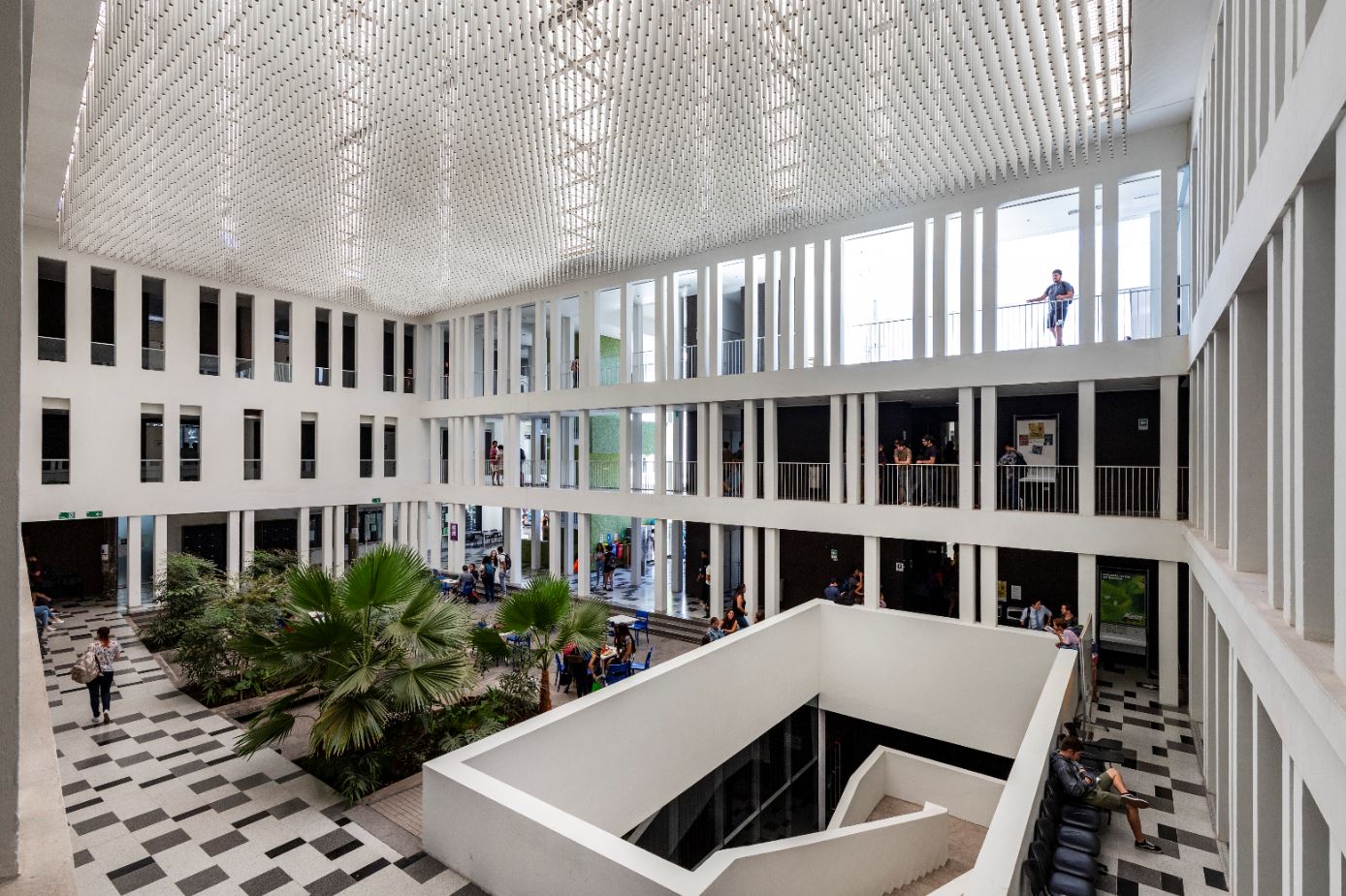 Reconocido constitucionalista sudafricano encabezará Cátedra de Derecho Constitucional Jorge Huneeus