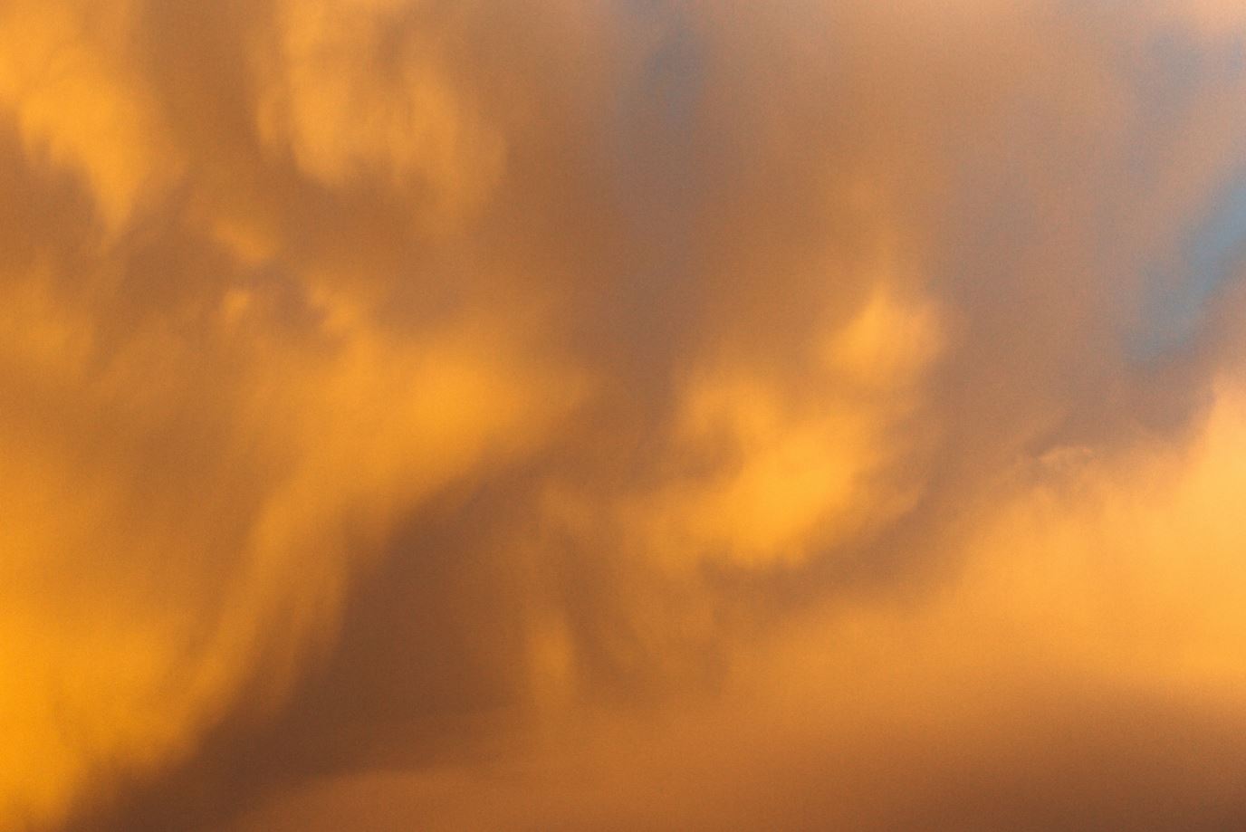 Cátedra Jorge Eugenio Dotti con Diego Fernández