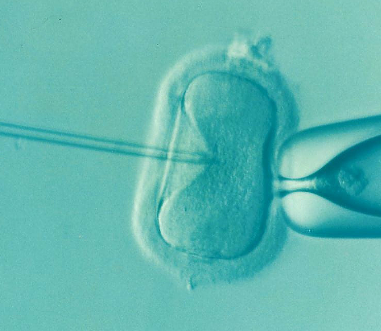 Dr. Fernando Zegers recibió premio Derechos Humanos 2019