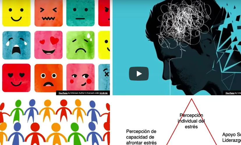 Webinar: “Gestión de emociones en educadoras de párvulos: la importancia para el bienestar y la relación con niños y niñas”.