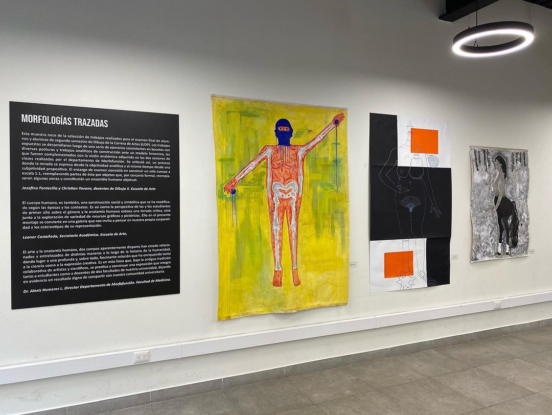 UDP inaugura “Morfologías Trazadas”, exposición que entremezcla el arte y el estudio del cuerpo humano