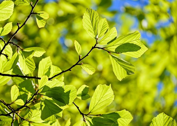 Conoce las cifras y novedades de UDP Verde ocurridas durante mayo