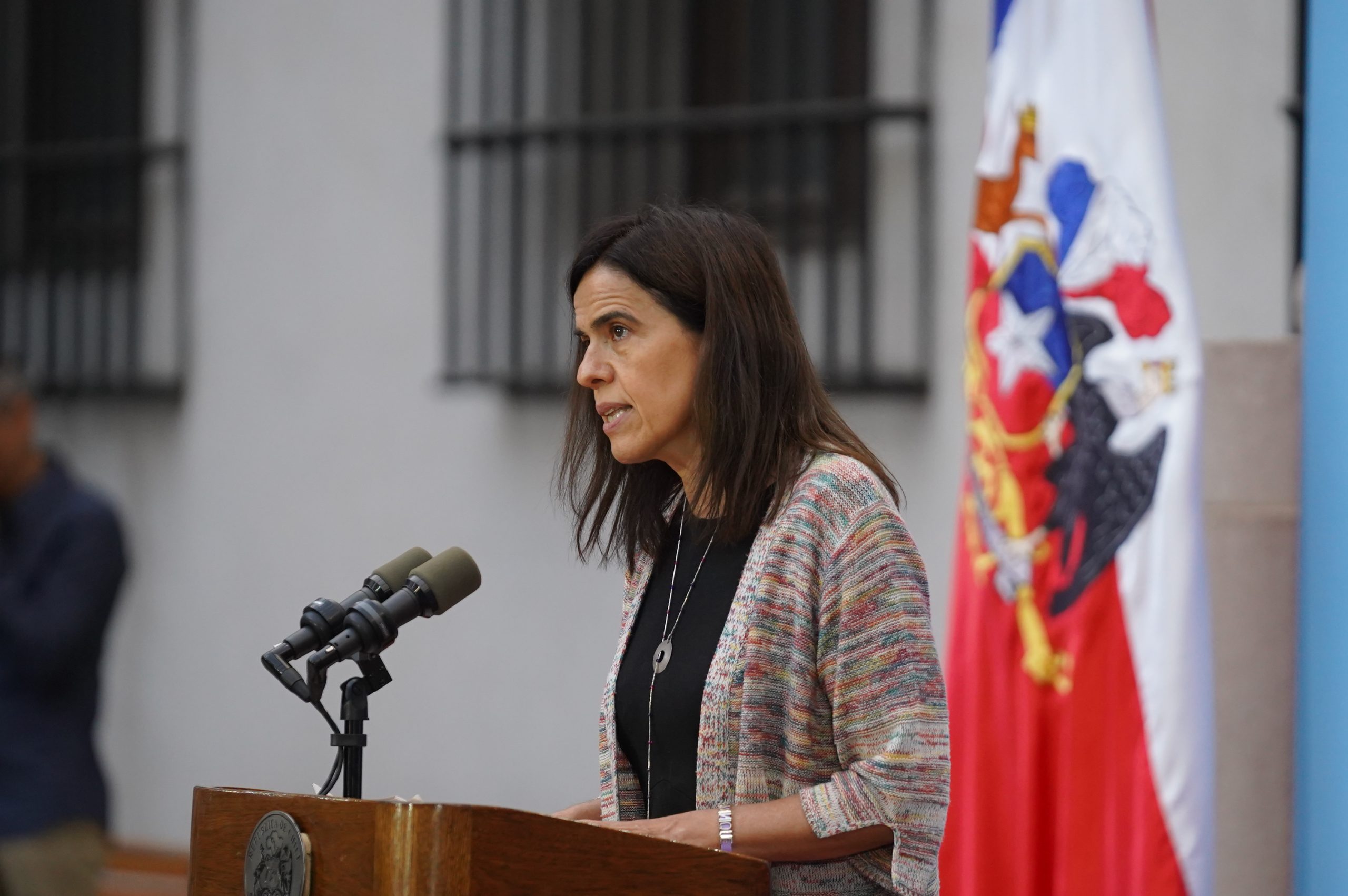 Profesora Dominique Hervé participó de la presentación de proyectos de ley en La Moneda